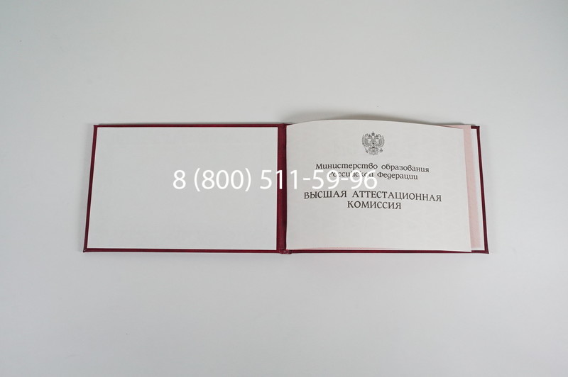 Диплом доктора наук 1995-2006 года в Великом Новгороде Диплом доктора наук 1995-2006 года в Великом Новгороде