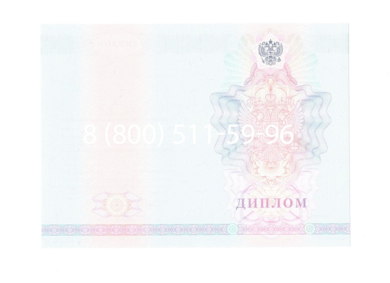 Заказать Диплом техникума 2007-2010 годов в Великом Новгороде