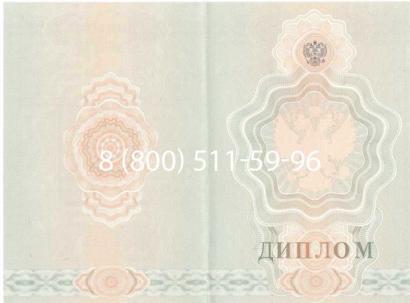 Купить Диплом училища 2007-2009 годов в Великом Новгороде Купить Диплом училища 2007-2009 годов в Великом Новгороде